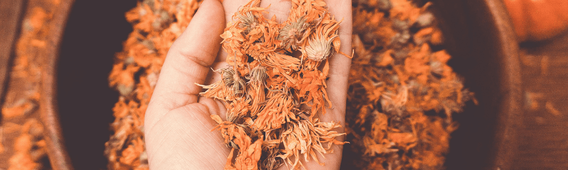 Medetkos ir jų gerosios gydančios savybės