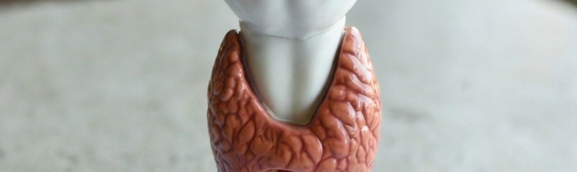Thyroid and thyroid cancer