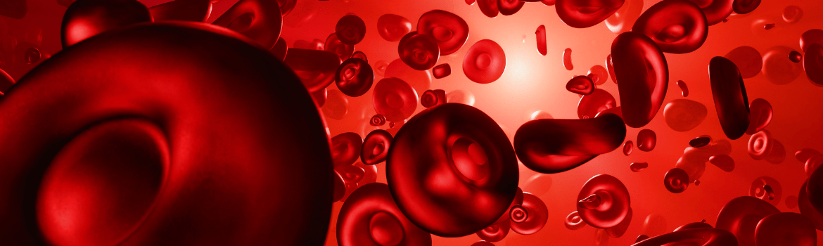What does an increase in lymphocytes mean in a blood test?