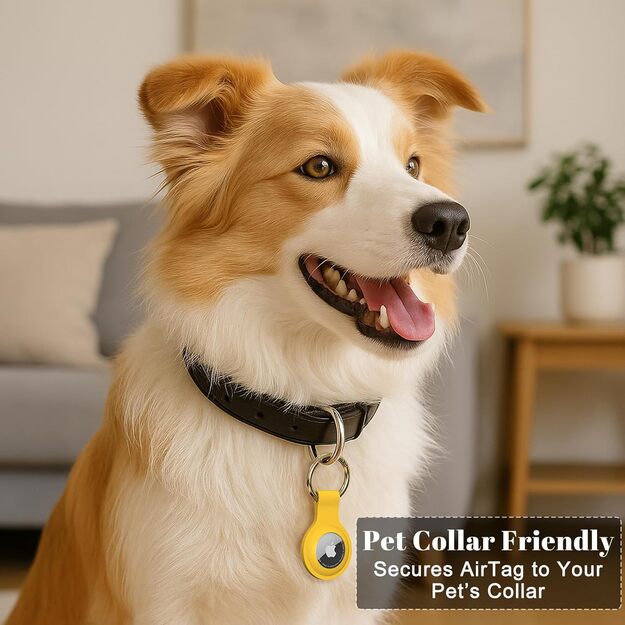 APPLE AIRTAG raktų pakabuko dėklas 3